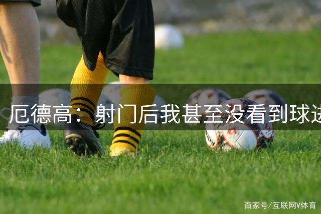 厄德高：射门后我甚至没看到球进，因为摔倒了只听到了欢呼声